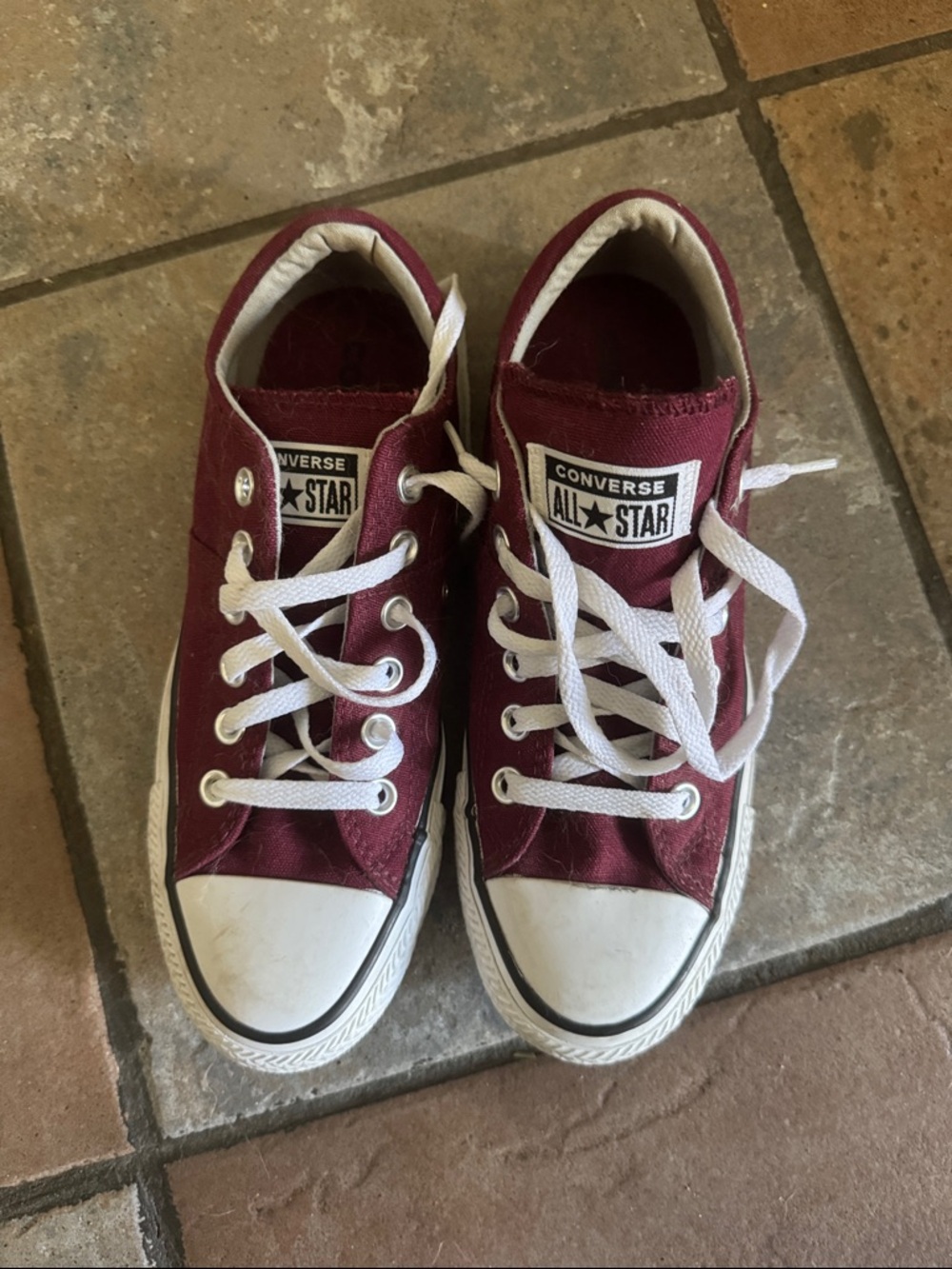 Converse All Star Low Top Sneakers in Burgundy